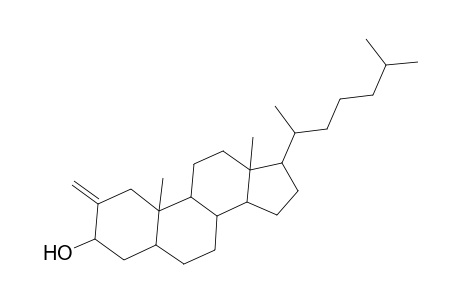 Cholestan-3-ol, 2-methylene-, (3.beta.,5.alpha.)-
