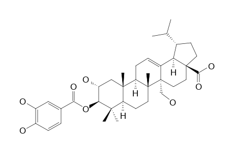 2-ALPHA,3-BETA,27-TRIHYDROXY-LUP-12-EN-28-OIC-ACID-3-(3',4'-DIHYDROXYBENZOYLESTER)