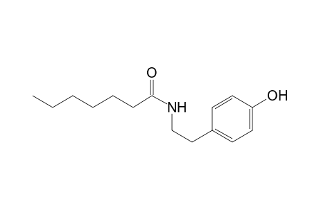 N-[2-(4-hydroxyphenyl)ethyl]heptanamide