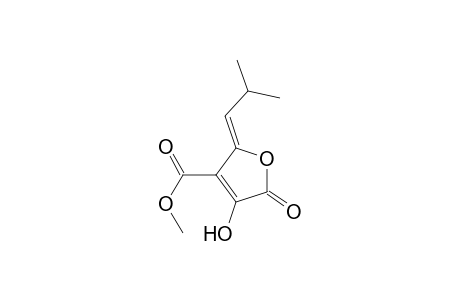 (Z)-5-(2'-methylpropylidene)-3-hydroxy-4-methoxycarbonyl-2(5H)-furanone