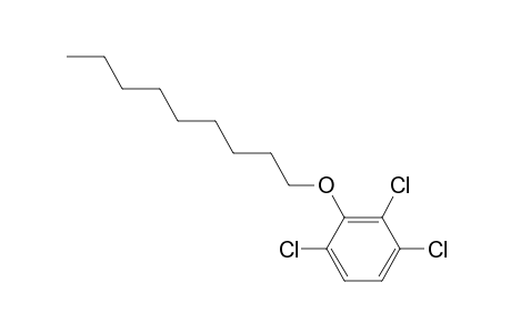 2,3,6-Trichlorophenyl nonyl ether