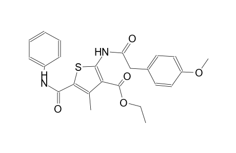 3-thiophenecarboxylic acid, 2-[[(4-methoxyphenyl)acetyl]amino]-4-methyl-5-[(phenylamino)carbonyl]-, ethyl ester
