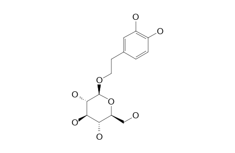 2-(3,4-DIHYDROXY)-PHENYLETHYL-BETA-D-GLUCOPYRANOSIDE
