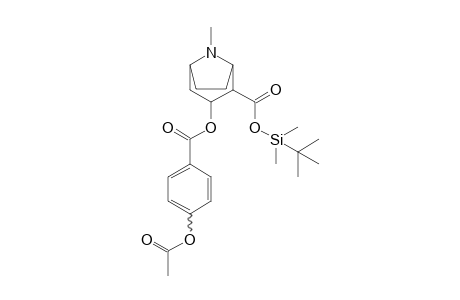 Cocaine-M (HO-BZE) ACTBDMS