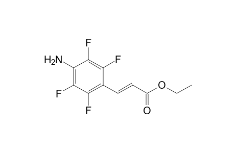 Ethyl (E)-4-Amino-2,3,5,6-tetrafluorocinnamate
