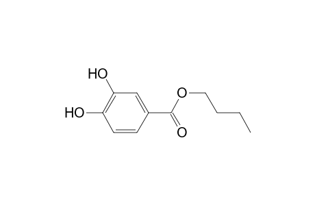 3,4-Dihydroxybenzoic acid butyl ester