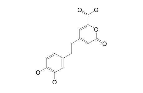DUMORTIN-B;4-[2-(3',4'-DIHYDROXYPHENYL)-ETHYL]-6-CARBOXY-ALPHA-PYRONE