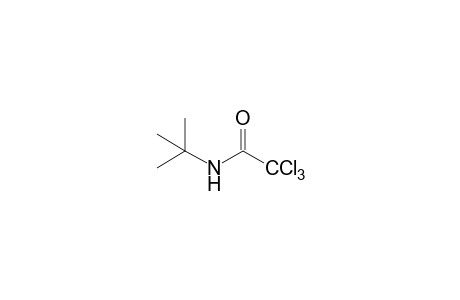 N-(tert-butyl)-2,2,2-trichloroacetamide