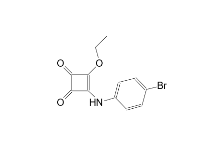3-cyclobutene-1,2-dione, 3-[(4-bromophenyl)amino]-4-ethoxy-