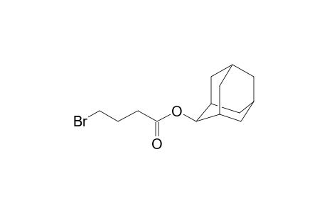 4-Bromobutanoic acid, 2-adamantyl ester