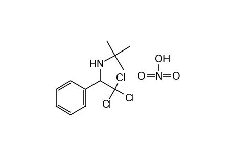 N-tert-BUTYL-alpha-(TRICHLOROMETHYL)BENZYLAMINE, NITRATE