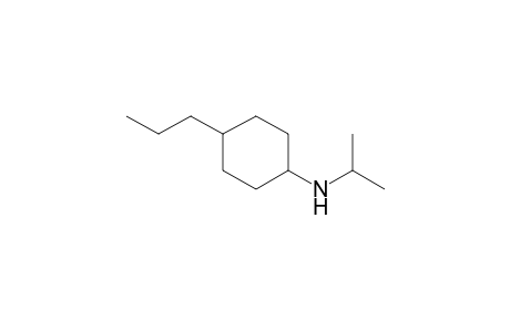 N-isopropyl-4-propylcyclohexanamine