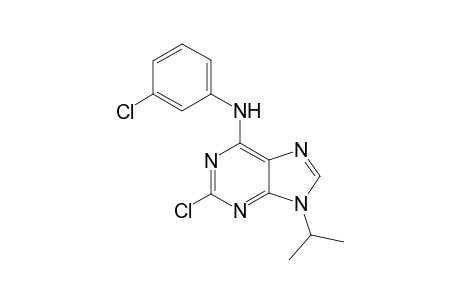 (2-chloro-9-isopropyl-9H-purin-6-yl)-(3-chloro-phenyl)-amine