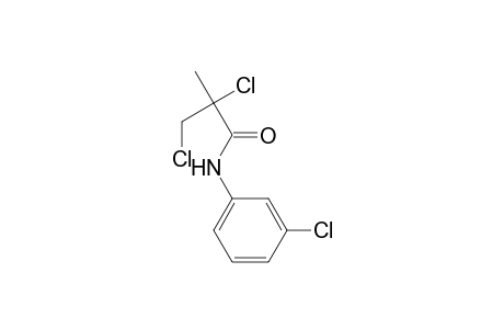 2,3-Dichloro-N-(3-chlorophenyl)-2-methylpropanamide