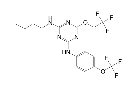 2-N-butyl-6-(2,2,2-trifluoroethoxy)-4-N-[4-(trifluoromethoxy)phenyl]-1,3,5-triazine-2,4-diamine