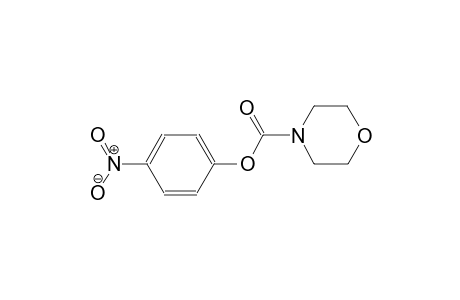 4-morpholinecarboxylic acid, 4-nitrophenyl ester
