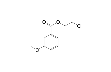 3-Methoxy-benzoic acid 2-chloroethyl ester