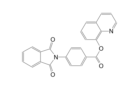 8-quinolinyl 4-(1,3-dioxo-1,3-dihydro-2H-isoindol-2-yl)benzoate