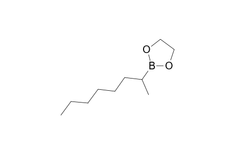 2-(1-Methylheptyl)[1,3,2]dioxaaborane