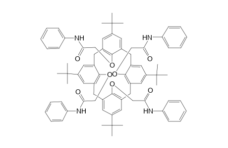 5,11,17,23-Tetra-tert-butyl-25,26,27,28-tetrakis(phenylcarbamoylmethyloxy)calix[4]arene