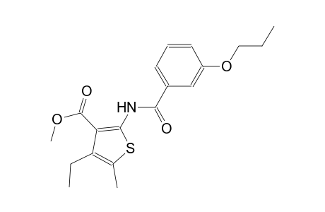 methyl 4-ethyl-5-methyl-2-[(3-propoxybenzoyl)amino]-3-thiophenecarboxylate
