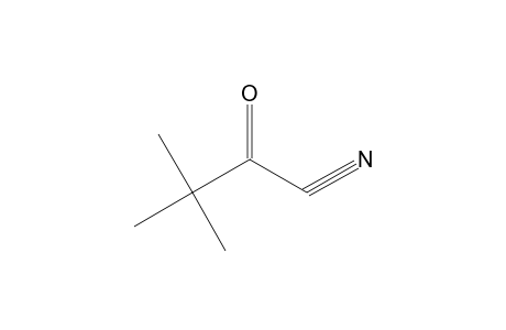 3,3-DIMETHYL-2-OXOBUTYRONITRILE