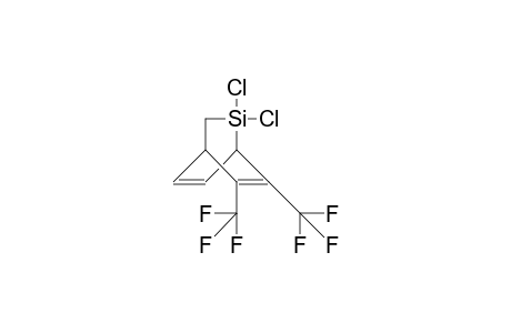 2,2-Dichloro-5,6-bis(trifluoromethyl)-2-sila-bicyclo(2.2.2)octa-5,7-diene