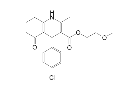 2-methoxyethyl 4-(4-chlorophenyl)-2-methyl-5-oxo-1,4,5,6,7,8-hexahydro-3-quinolinecarboxylate
