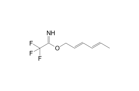 (2E,4E)-1-(2,2,2-Trifluoroacetimidoyloxy)hexa-2,4-diene
