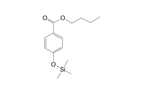 Benzoic acid <4-hydroxy->, butyl ester, mono-TMS