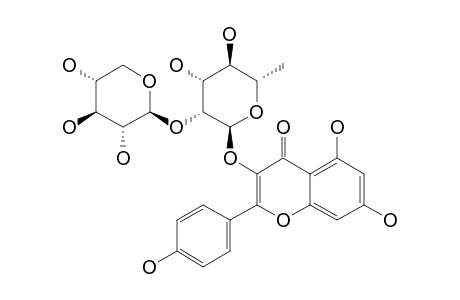 KAEMPFEROL-3-(2''-XYLOPYRANOSYL)-RHAMNOPYRANOSIDE