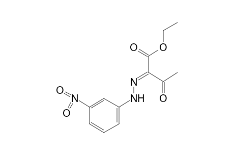 2,3-DIOXOBUTYRIC ACID, ETHYL ESTER, 2-(m-NITROPHENYL)HYDRAZONE