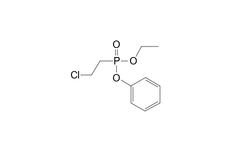 [2-Chloroethyl(ethoxy)phosphoryl]oxybenzene