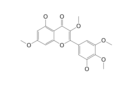 MYRICETIN-3',4',5',7-TETRAMETHYLETHER