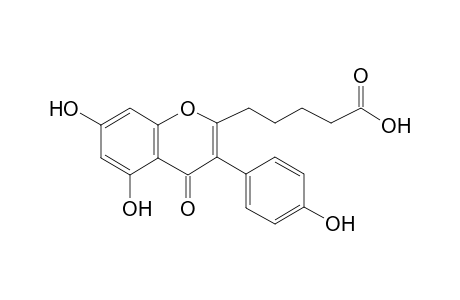 5-[3-(4-hydroxyphenyl)-5,7-bis(oxidanyl)-4-oxidanylidene-chromen-2-yl]pentanoic acid
