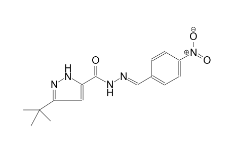 1H-pyrazole-5-carboxylic acid, 3-(1,1-dimethylethyl)-, 2-[(E)-(4-nitrophenyl)methylidene]hydrazide