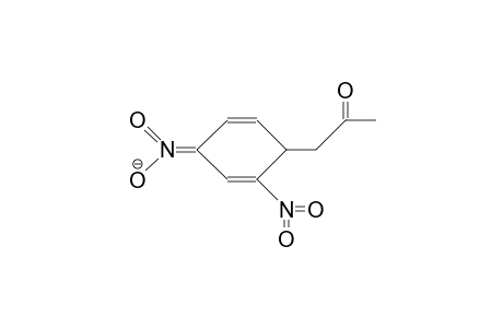 2,4-Dinitrophenylacetone-meisenheimer anion