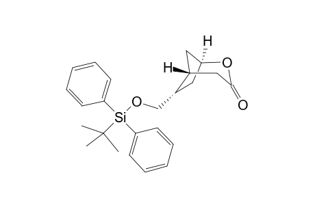 (1R,5R,6S)-6-{[(t-Butyl)diphenylsilyloxy]methyl -2-oxabicyclo[3.2.1]octan-3-one