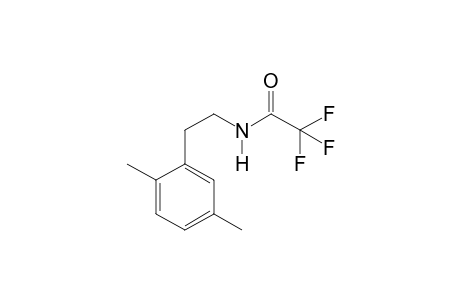 2,5-Dimethylphenethylamine TFA
