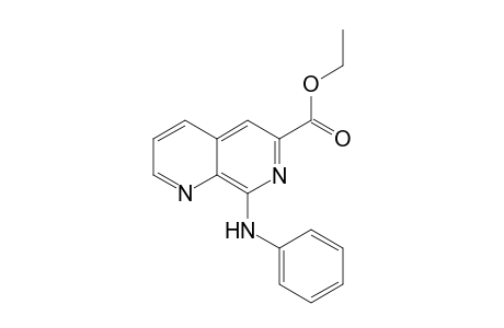 8-Anilino-1,7-naphthyridine-6-carboxylic acid ethyl ester