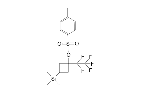 1-(Pentafluoroethyl-3-(trimethylsilyl)cyclobutyl 4-methylbenzenesulfonate