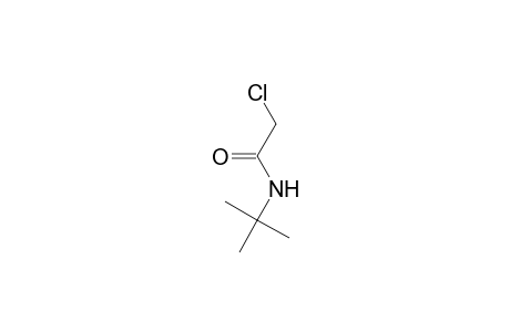 N-tert-Butyl-chloro-acetamide