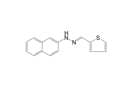 Thiophene-2-carboxaldehyde, 2-naphthylhydrazone