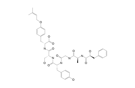 CONOIDEOCRELLIDE_B