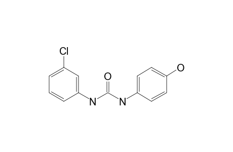 3-(3-chlorophenyl)-1-(4-hydroxyphenyl)urea