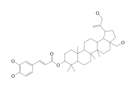 3-BETA-O-TRANS-CAFFEOYL-29-HYDROXYBETULIN