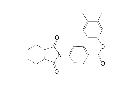 benzoic acid, 4-(octahydro-1,3-dioxo-2H-isoindol-2-yl)-, 3,4-dimethylphenyl ester