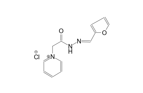 pyridinium, 1-[2-[(2E)-2-(2-furanylmethylene)hydrazino]-2-oxoethyl]-, chloride