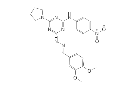 benzaldehyde, 3,4-dimethoxy-, [4-[(4-nitrophenyl)amino]-6-(1-pyrrolidinyl)-1,3,5-triazin-2-yl]hydrazone