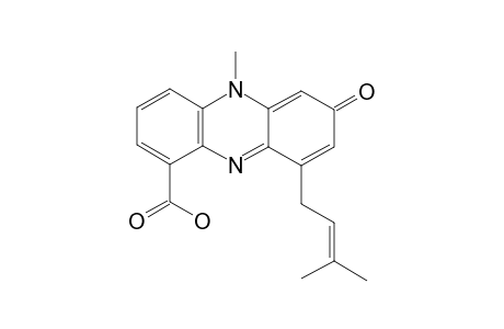 ENDOPHENAZINE-B;[1-CARBOXY-5-METHYL-9-(3'-METHYL-2'-BUTENYL)-PHENAZIN-7-ONE